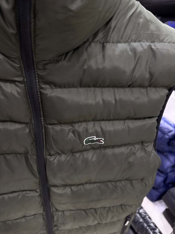 Lacoste - Vest - Green - PresidentGreece.Shop